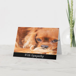 Sympathy Sweet Cavalier King Charles Spaniel Card