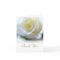 Sympathy Thank You