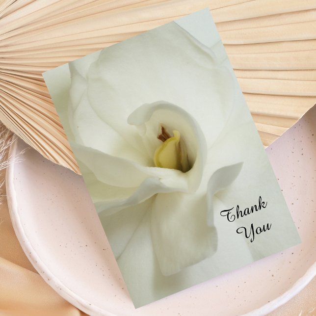 Sympathy Thank You Flat Card - Gardenia (Creator Uploaded)