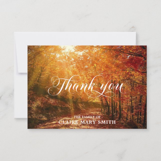 Sympathy THANK YOU Funeral Forest Fall PHOTO Card (Front)