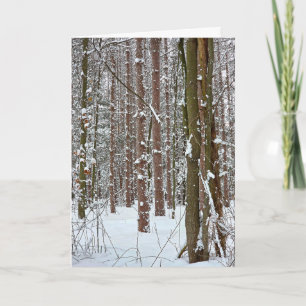 Sympathy Tranquil Winter Forest  Card