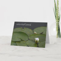 Sympathy Water Lily Buds