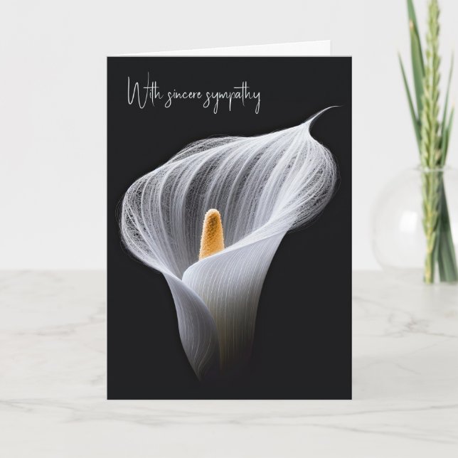 Sympathy White Calla Lily On Black Card (Front)