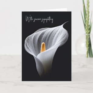 Sympathy White Calla Lily On Black Card