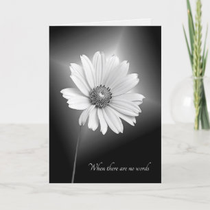 sympathy white cosmos flower card