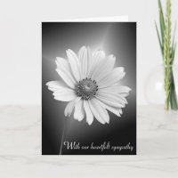 Sympathy White Cosmos on Black
