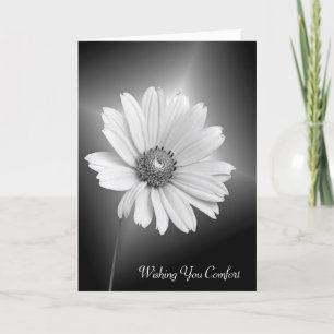 Sympathy White Daisy Flower Card