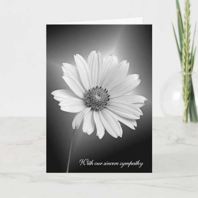 Sympathy White Daisy With Light Beams Card (Front)