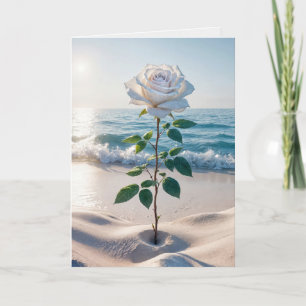 Sympathy White Rose In Beach Sand Card