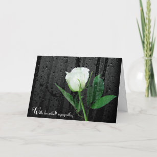 Sympathy White Rose with Raindrops  Card