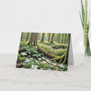 Sympathy White Trilliums In a Spring Forest Card