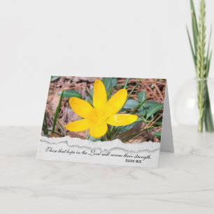 Sympathy Yellow Crocus Card