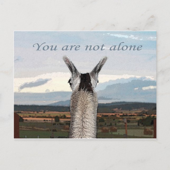 Sympathy: You Are Not Alone Llama Postcard (Front)