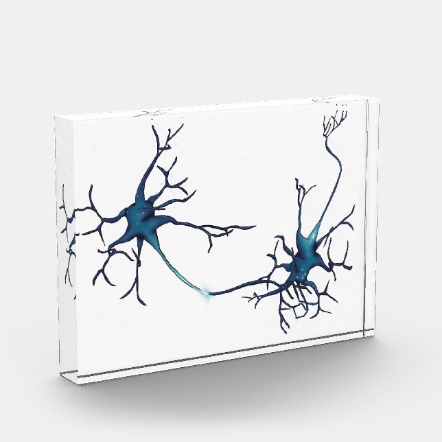 Synapse Between Neurons, Neuroscience Neuron Photo Block (Left)