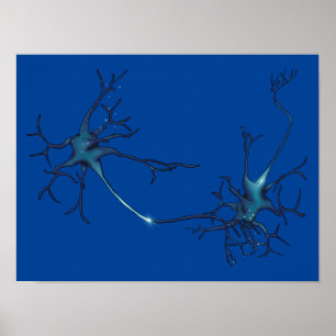 Synapse Between Neurons, Neuroscience Neuron Poster