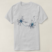Synapse Between Neurons, Neuroscience Neuron