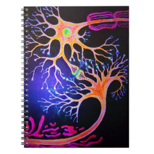 Synapses connecting neurons notebook