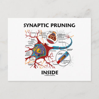 Synaptic Pruning Inside Neuron Synapse Geek Humour Postcard