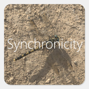 'Synchronicity' Sticker
