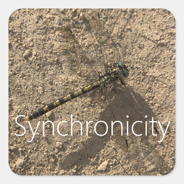 'Synchronicity' Sticker (Front)