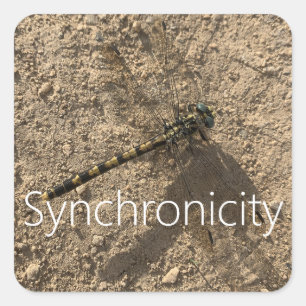 'Synchronicity' Sticker