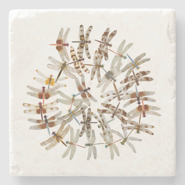 Synchronised Dragonflies Coaster (Front)