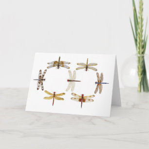 Synchronised Dragonflies IV Card