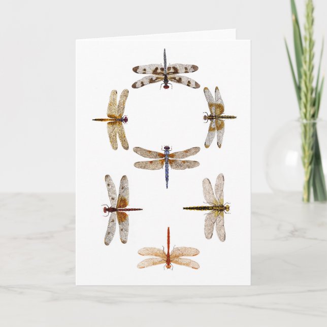 Synchronised Flying Dragonflies Card (Front)