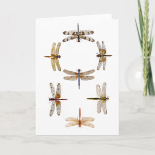 Synchronised Flying Dragonflies Card