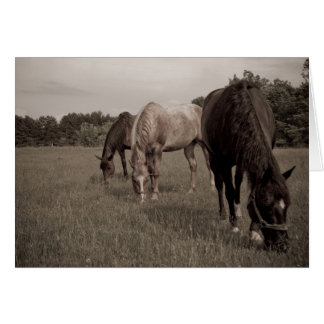 Synchronised Munching