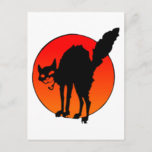 Syndicalist's cat postcard