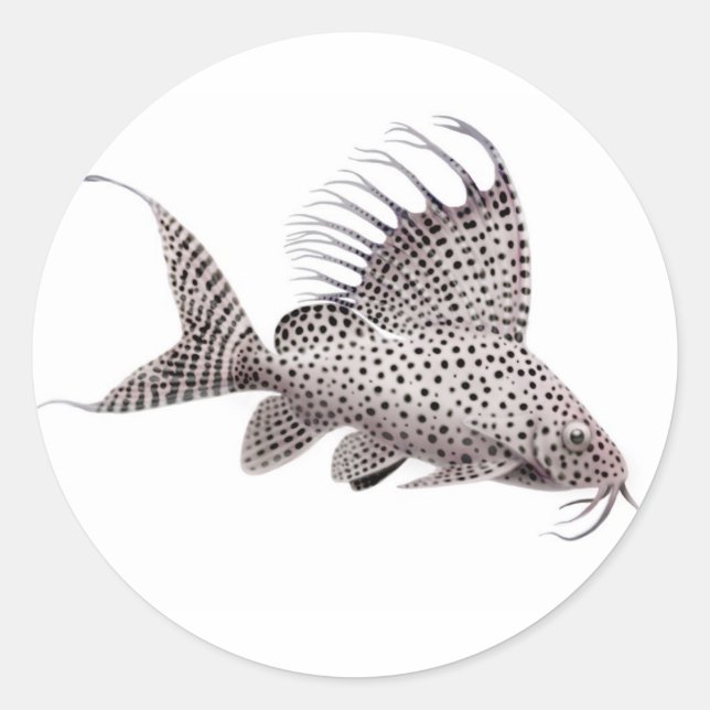 Synodontis Catfish Sticker (Front)