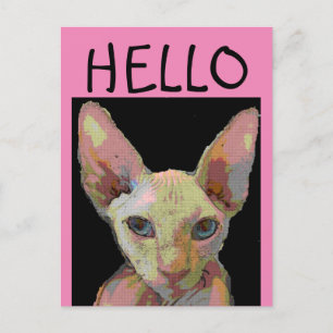 SYPHNX HAIRLESS CAT HELLO Postcard