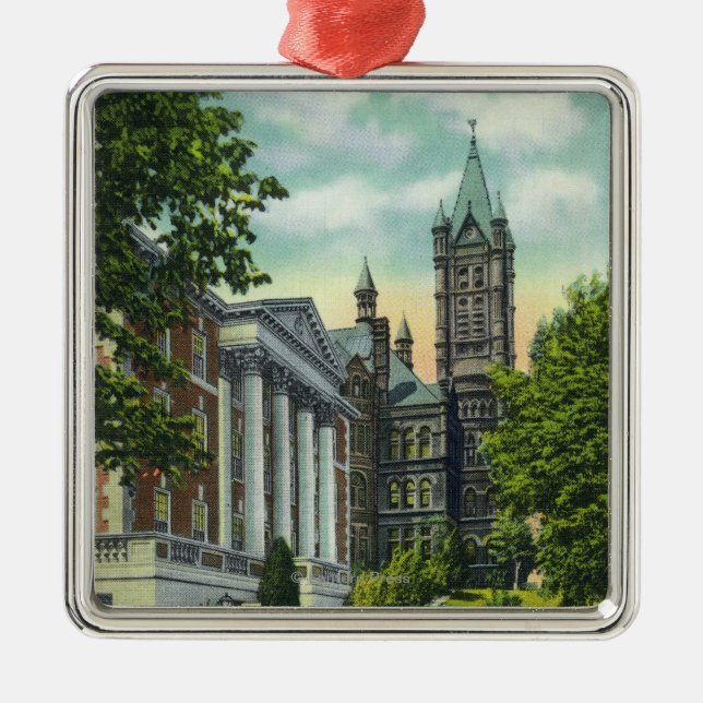 Syracuse U Campus View Showing Crouse College Metal Tree Decoration (Front)