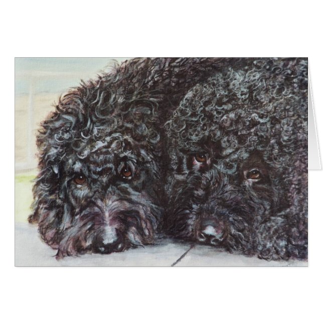 "Syrah and Cabernet" (Front Horizontal)