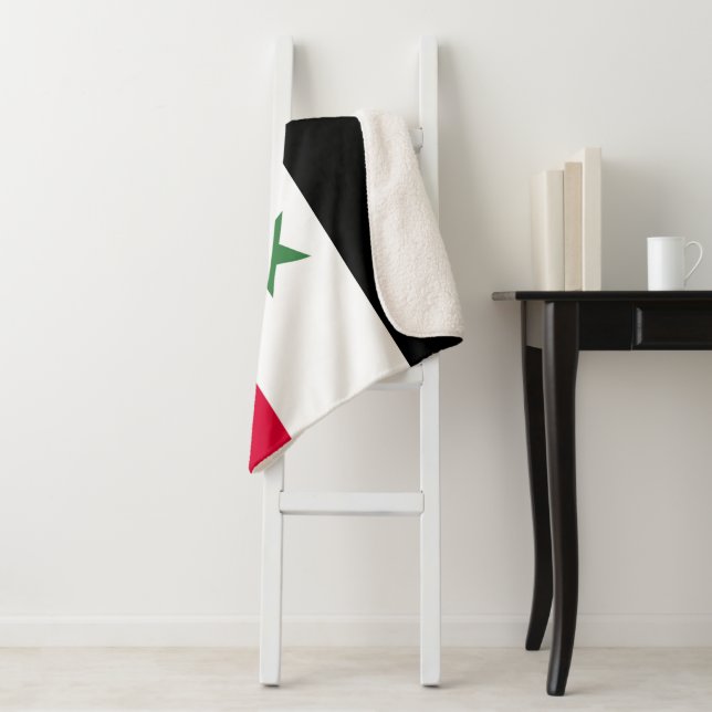 Syria flag sherpa blanket (In Situ)