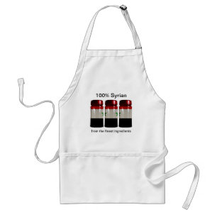 Syria Flag Spice Jars Apron