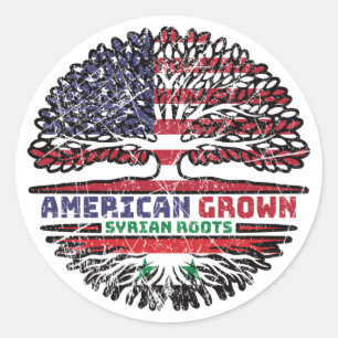 Syria Syrian US American USA United States Tree Classic Round Sticker