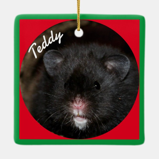 Syrian Pet Hamster - Standard Hamster - Black Bear Ceramic Ornament (Back)