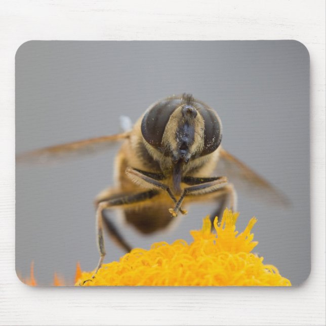 Syrphidae Mouse Mat (Front)