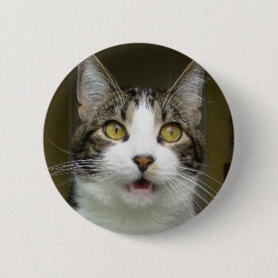 Syrus Shocked Button 0001