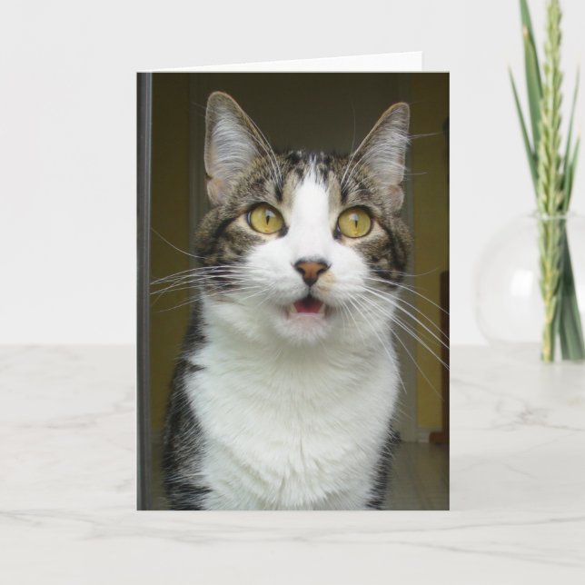 Syrus Shocked Greeting Card 0001 (Front)