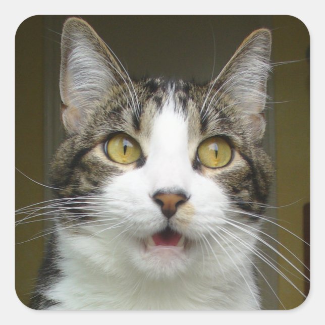 Syrus Shocked Stickers 0001 (Front)