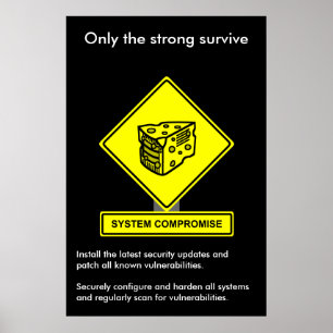 System Compromise Security Awareness Poster