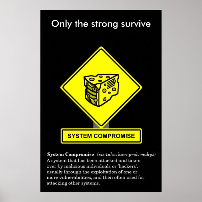 System Compromise Security Awareness Poster (Front)