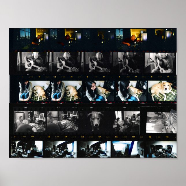 Systematic Chaos 11" x 8.5", Value Poster Paper (Front)