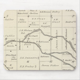 T17S R25E Tulare County Section Map Mouse Mat