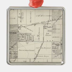 T19S R20E NE 1/4 Tulare County Section Map Metal Tree Decoration
