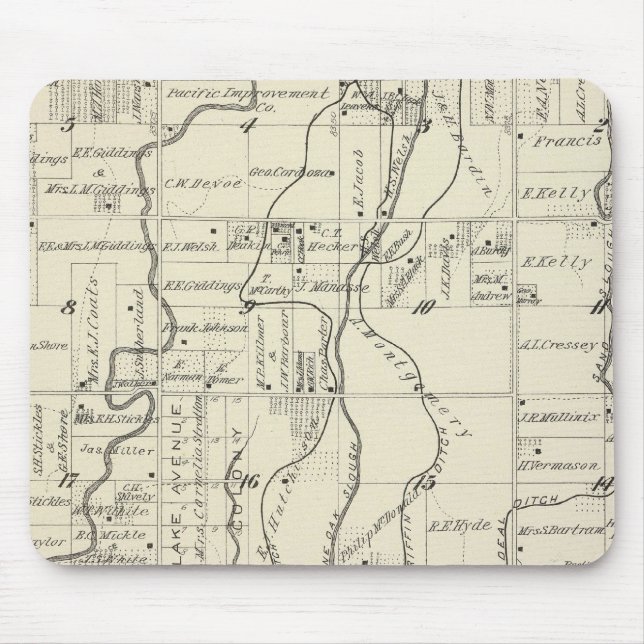 T19S R21E Tulare County Section Map Mouse Mat (Front)