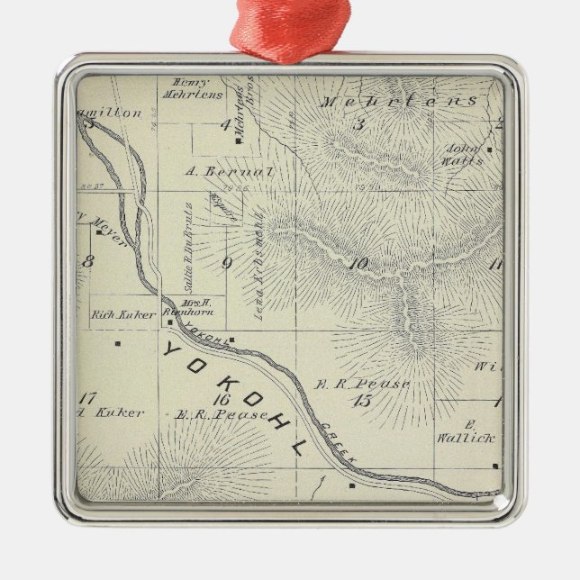 T19S R27E Tulare County Section Map Metal Tree Decoration (Front)